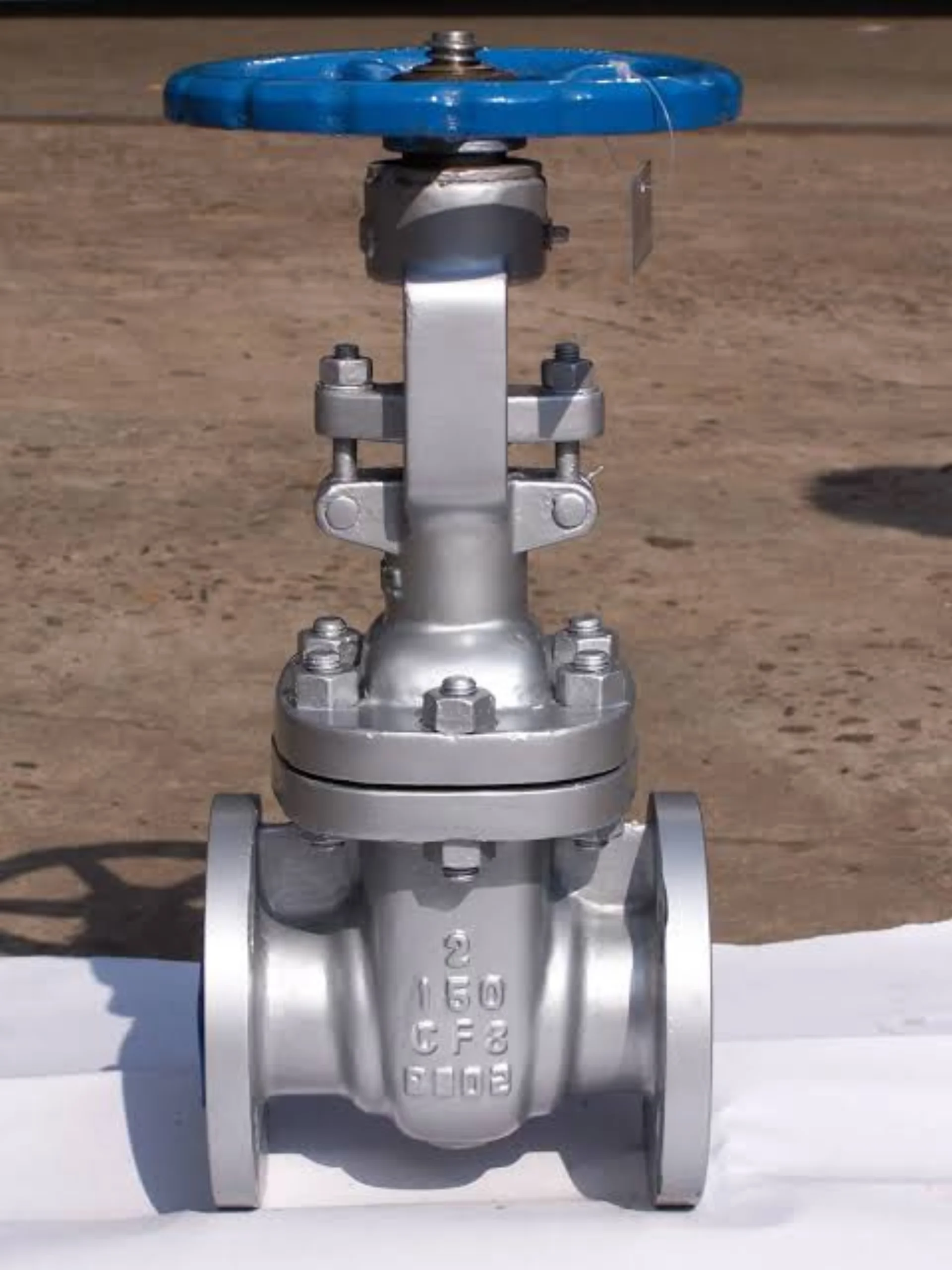 Gate & Globe Valves